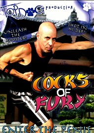 Cocks Of Fury: Enter The Penis (110317.0)