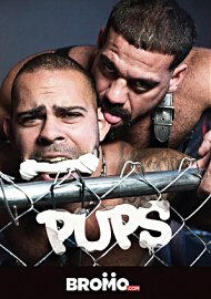 Pups (2019) (175705.0)