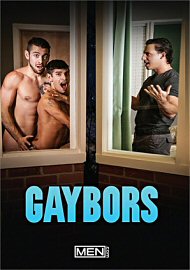 Gaybors (2020) (193667.5)