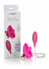 Venus Butterfly Pump Pink (77057)