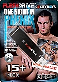 15+ One Night in Phenix Video on 4gb usb FLESHDRIVE (116594)